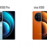 Les principales différences entre vivo X100 Pro et vivo X100